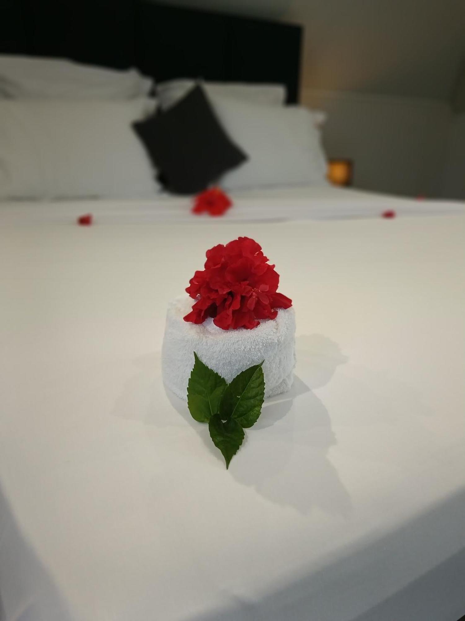 Hotel Village Pomme Cannelle 3 Etoiles Le Prêcheur Kültér fotó
